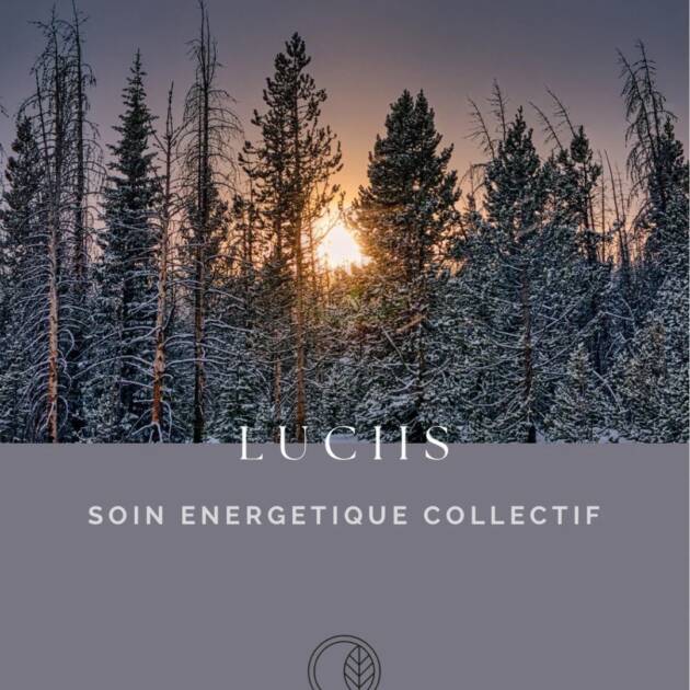 Soin Collectif LUCIIS