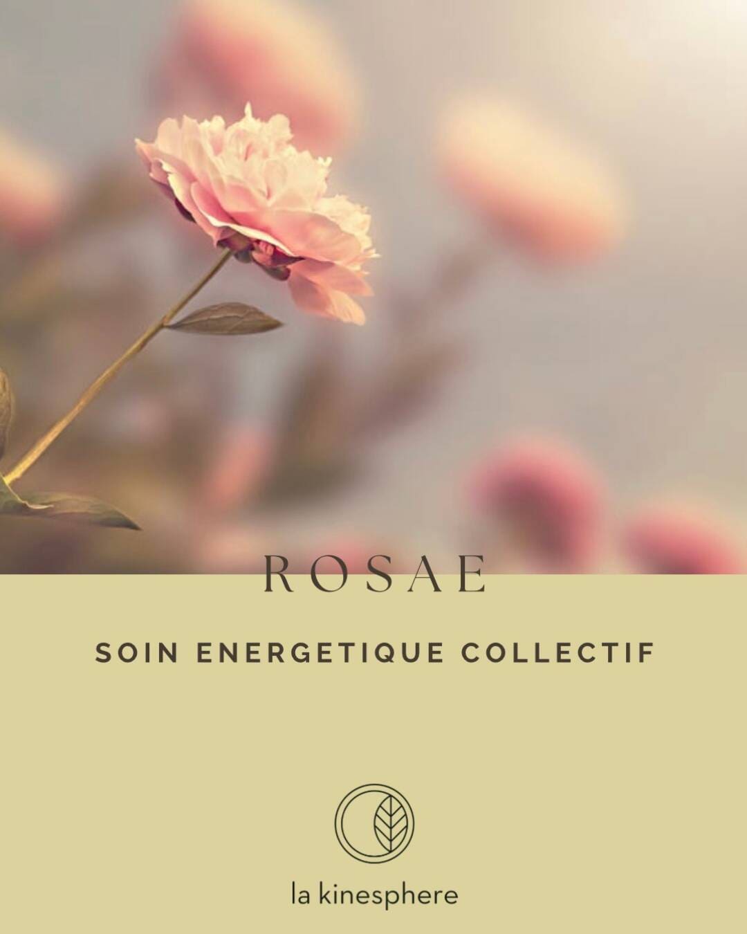 Soin Collectif ROSAE